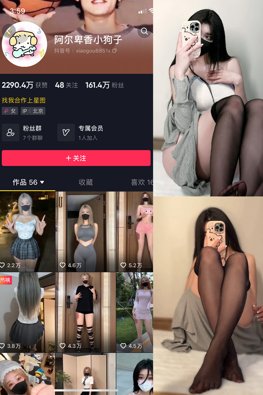 阿尔卑香小狗子 微密圈 NO.042期 最新至：2024.1.24