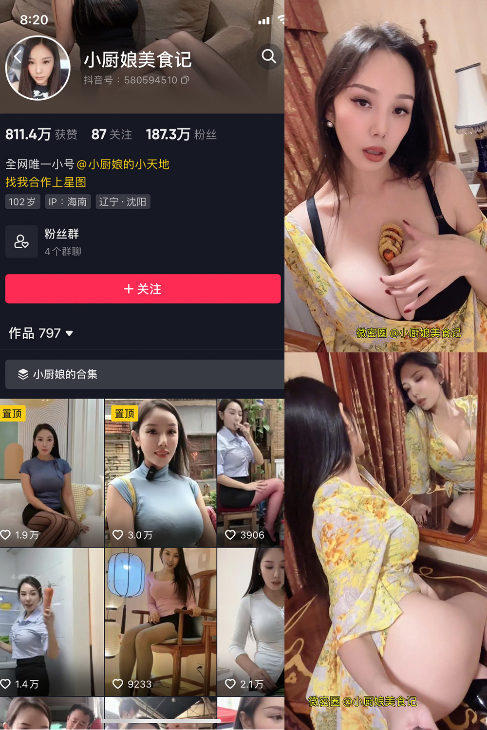 小厨娘美食记