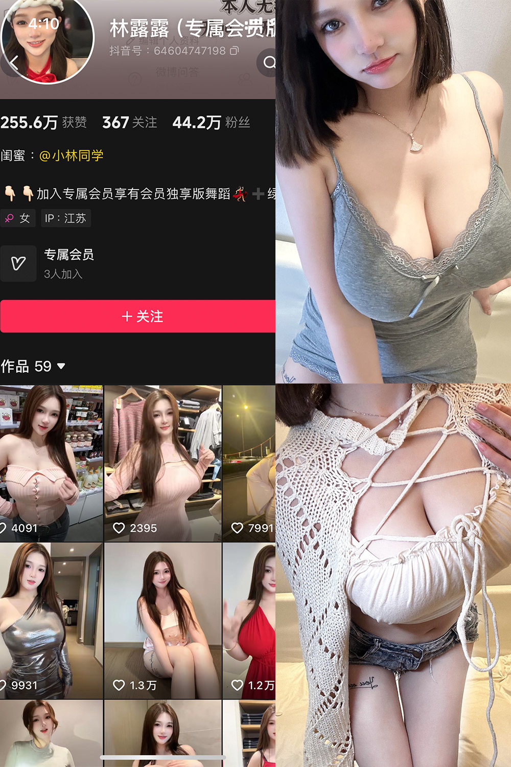 林露露
