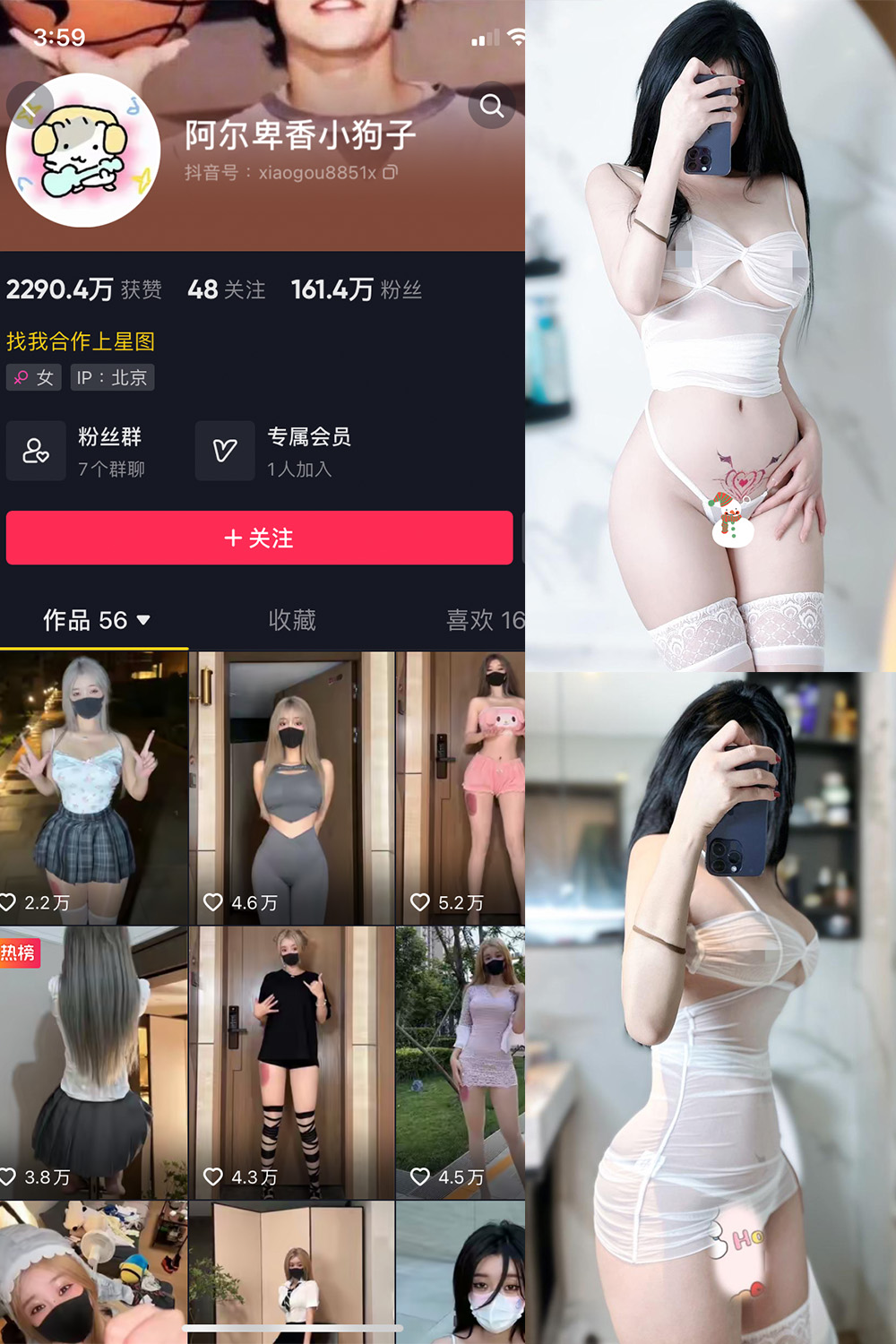 阿尔卑香小狗子 微密圈 NO.051期 最新至：2024.7.1