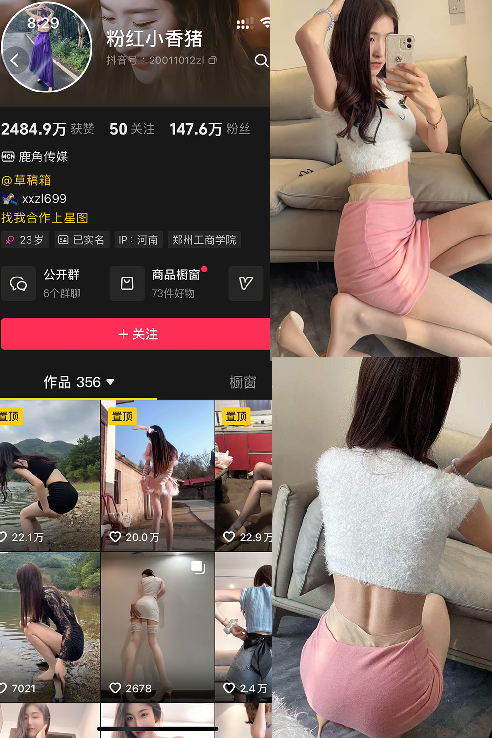 粉红小香猪